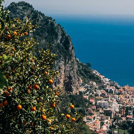 Lemon In The Air Daire Scala Dış mekan fotoğraf